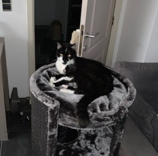 Foto van Boy