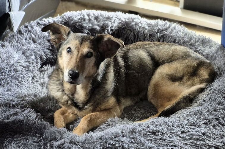 Foto van Peggy